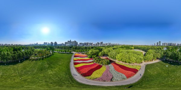 擒牛宝配资 10000平米七彩花田绽放世纪公园，在繁花间感受生活的诗意
