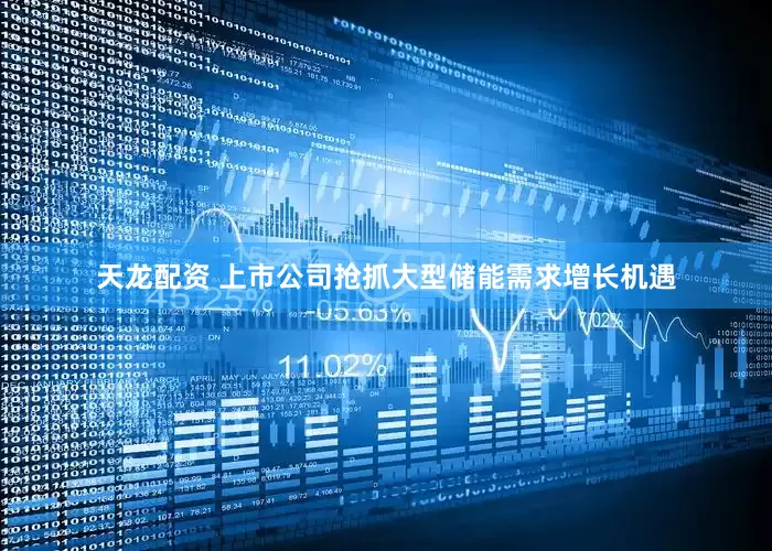 天龙配资 上市公司抢抓大型储能需求增长机遇