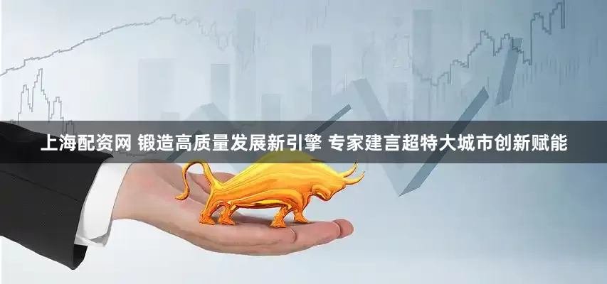 上海配资网 锻造高质量发展新引擎 专家建言超特大城市创新赋能